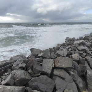 Meet your Posher, Bonnie